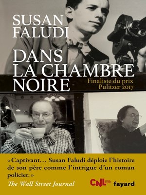 cover image of Dans la chambre noire